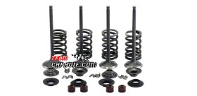 CFMoto 500cc CF188 set valvole