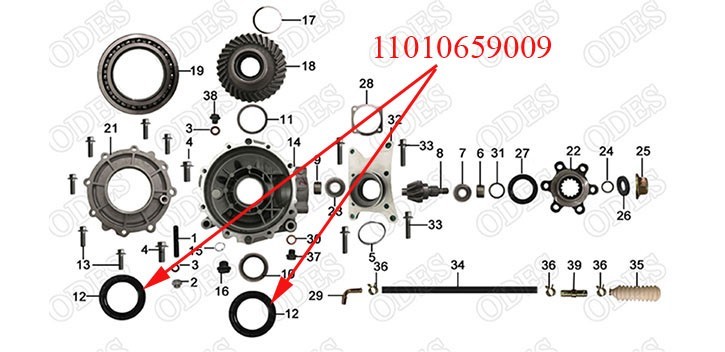 Oil Seal
