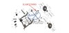 Drive Chain Kinroad 250 cc