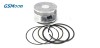 piston and segments