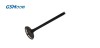 GSMOON intake valve