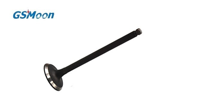 exhaust valve