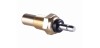 Thermostatic sensor 