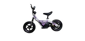 Flash Electric Bicycle White Biwond