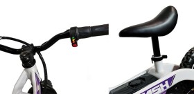 Flash Electric Bicycle White Biwond