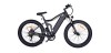 Bicicleta de montaña eléctrica de la serie Huaming Cougar BK4