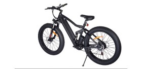 Bicicleta de montaña eléctrica de la serie Huaming Cougar BK4