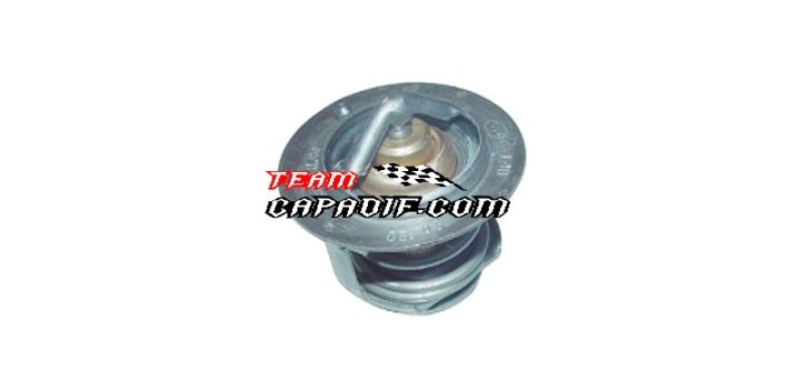 Thermostat 