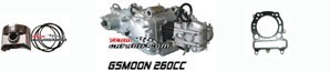 elements-moteur-gsmoon-xyst260-.jpg