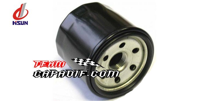 HISUN OIL FILTER HS 500 HS 700