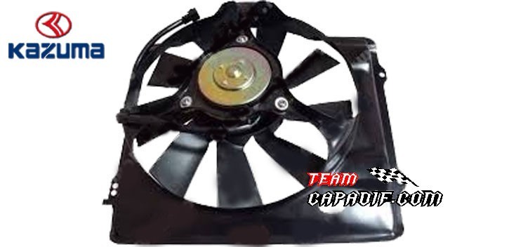 FAN MOTOR ASS'Y KAZUMA 