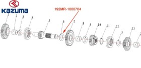 GUARNIZIONE KAZUMA 