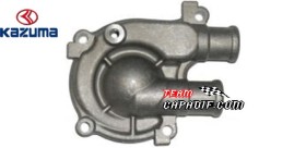 Coperchio pompa acqua KAZUMA