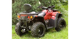 ASSAILLANT ODES ATV 800CC 4X4 approvazione T3.