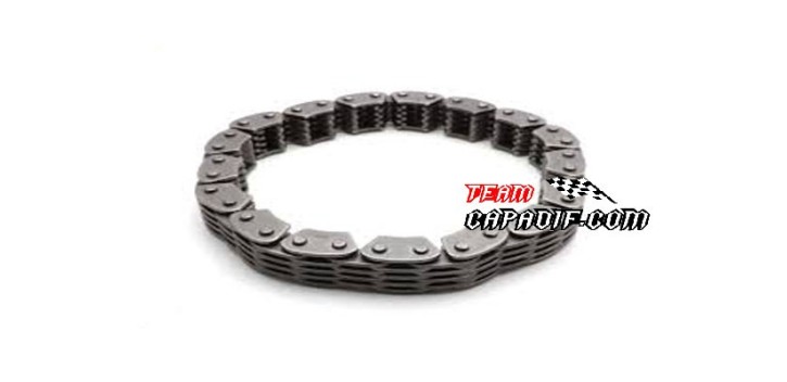 Catena retromarcia CFMoto 500cc CF188