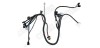 Engine Wire harness Odes 800