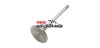 intake valve 