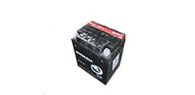 Battery Odes 800 12V30Ah