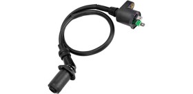 Buggy 150 cc bobina di accensione