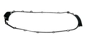 Carter sinistro guarnizione GSMOON